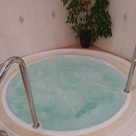 Pod Klonami Kisewo Apartament